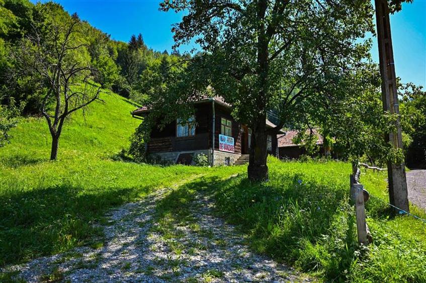FILM! Proprietate autentica, Bran-Simon, 4.300 mp teren, casa traditionala + ane