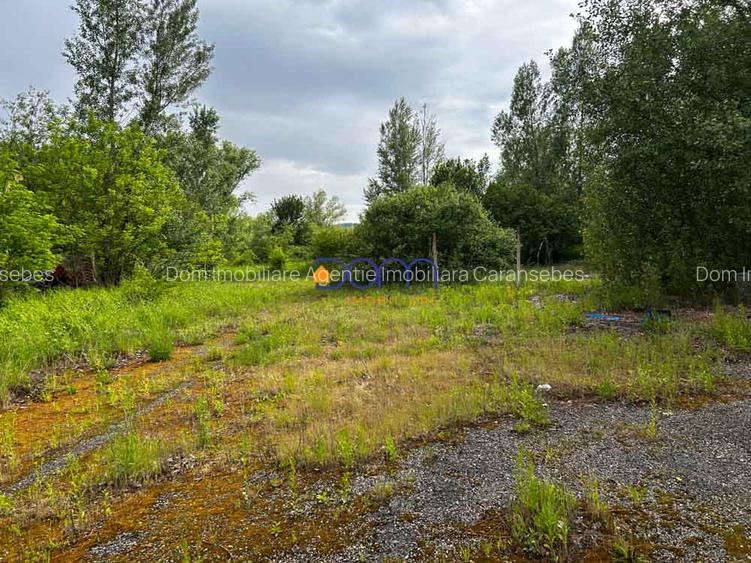 Teren industrial sau comercial 3000 mp Zagujeni - 4
