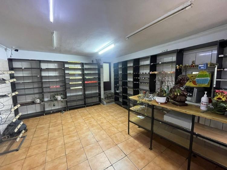 Casa de Vanzare cu teren spatios,zona Pantelimon-Delfinului,langa Mega Mall&Lac;