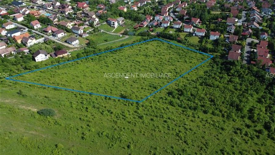 FILM! Teren pretios: 17.200 mp, recomandat investitional/dezvoltare,Livezeni,Mur - 4