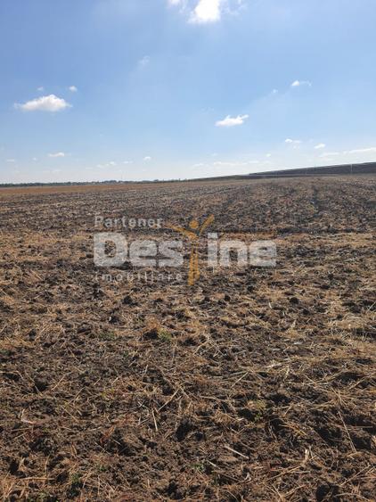 TEREN  EXTRAVILAN 7.802 mp –DOMNESTI, ILFOV