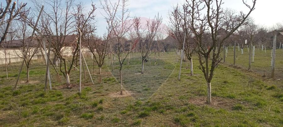 Teren Vladimirescu- Zona Excelenta 2954 MP INTRAVILAN!!!