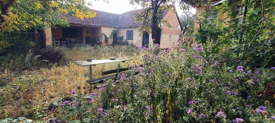 🏡 Teren generos cu Casă de Poveste în Șiria, Arad- Locație Rară