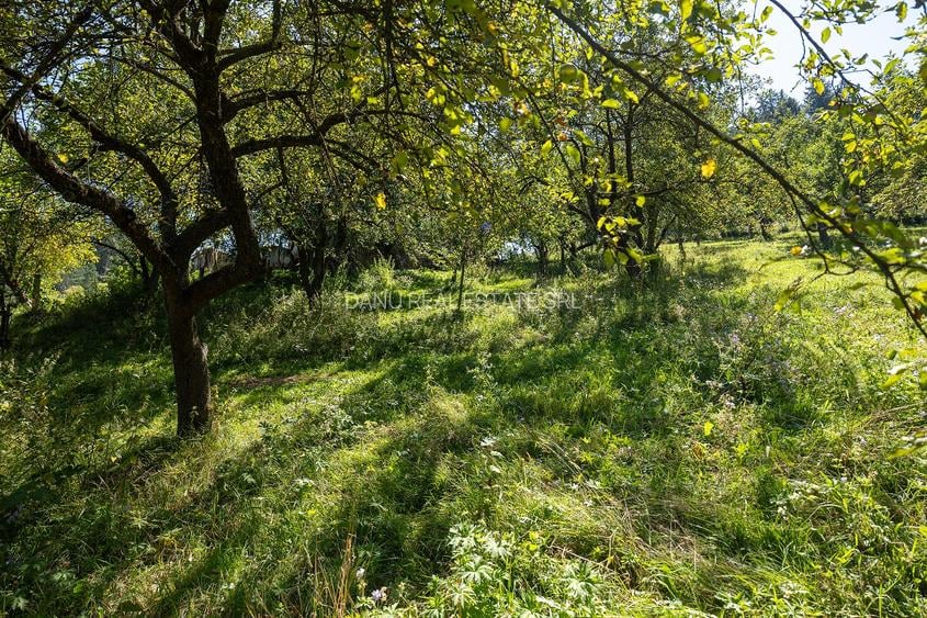 Casă la munte, gata de mutat ,  Poiana Mărului Brasov cu Teren minim 1.000 mp - 20