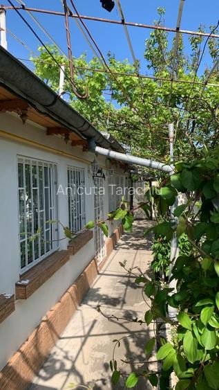 Casa Brailita cu teren 405mp - 10