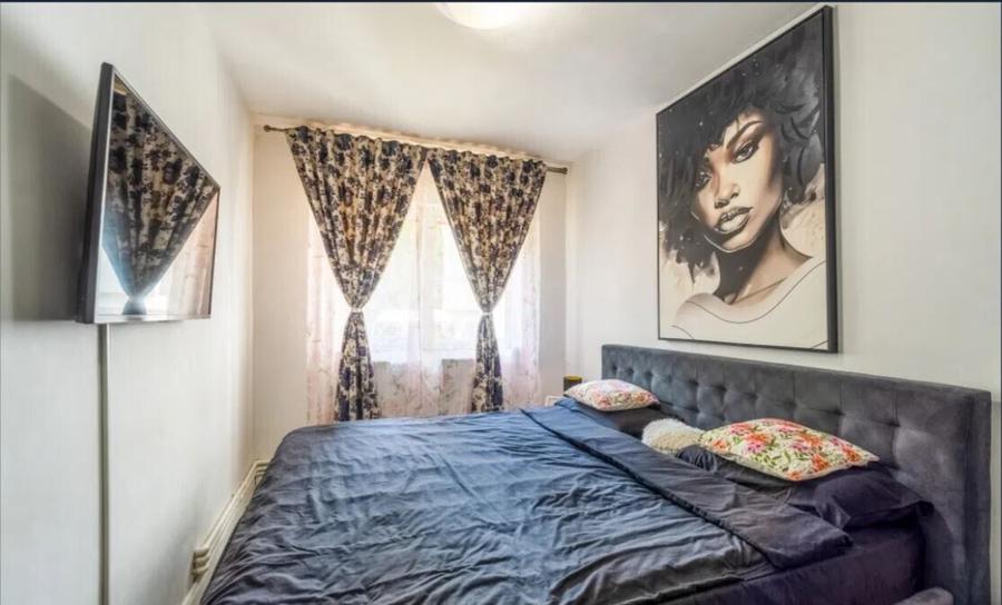 Dristor- stradal Camil Ressu- doua minute metrou- 2 camere
