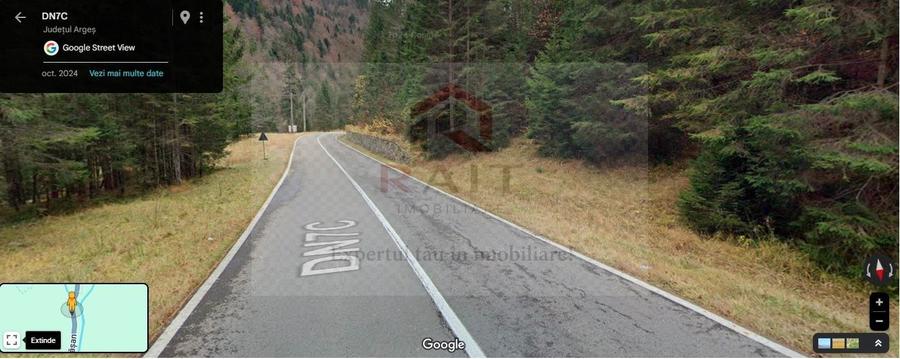 Teren extravilan tip pădure de vânzare 500 mp Arefu Transfăgărășan