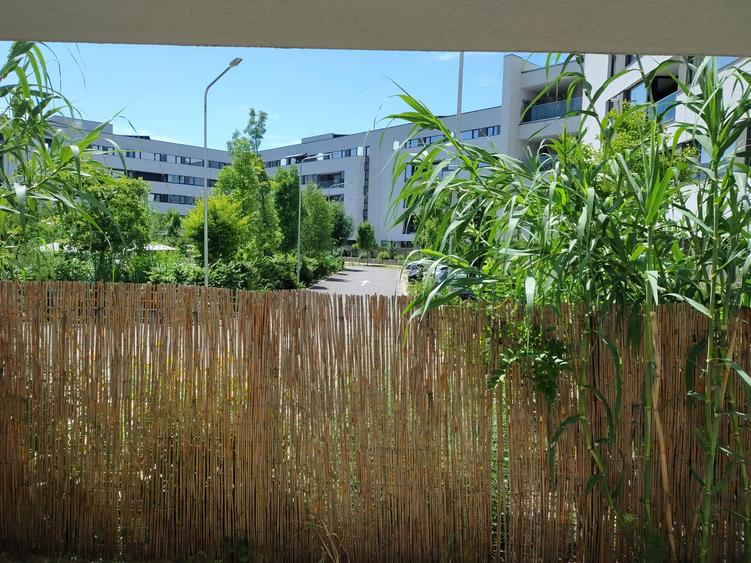 2 camere decomandat +Gradina proprie – Zona Mall Colosseum