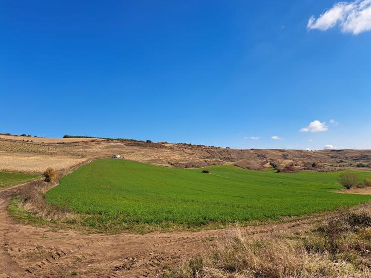 Teren agricol de vanzare