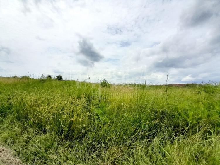 Teren intravilan pentru constructii de vanzare in Cheriu