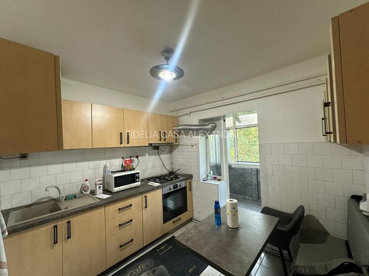 Apartament 3 camere de vanzare Tatarasi - Oancea - 5