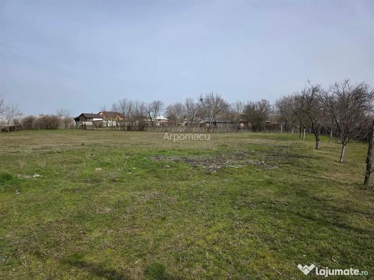 Casa comuna Celaru, sat Soreni, jud. Dolj - 10