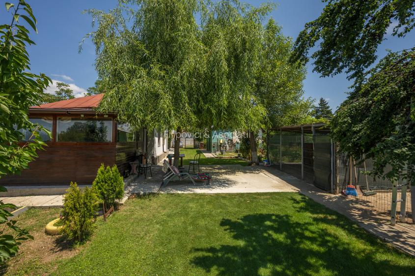 RACARI - DAMBOVITA, CASA PE PARTER 85 MP, LOT 2200 MP! - 21
