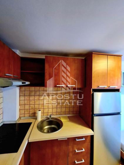 Garsoniera pet friendly,zona Buziasului