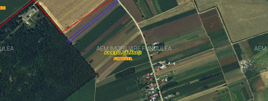 Teren extravilan 5.050 mp Fundulea (Gostilele) – Deschidere la DJ 402 - 3