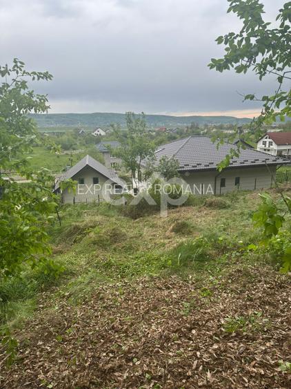 PANORAMĂ UNICĂ! Teren 807 mp la liziera pădurii – Bascov | Utilități la limită | - 2