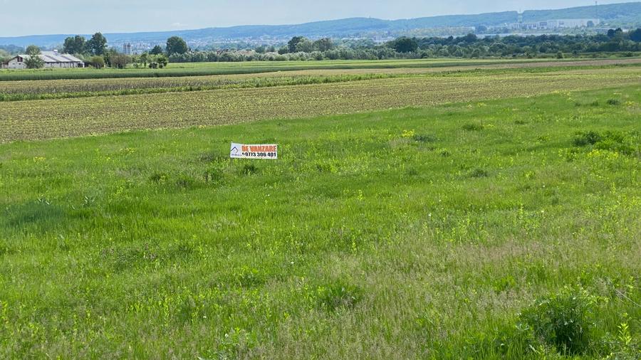 Teren intravilan 10759 mp, Micesti, Argeș - idealimob.ro