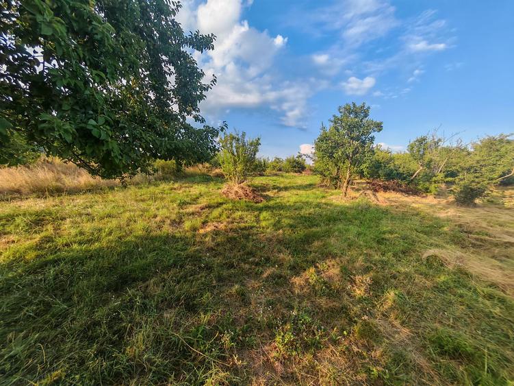 Teren intravilan 1.600 mp Mioveni – Zona Pruni