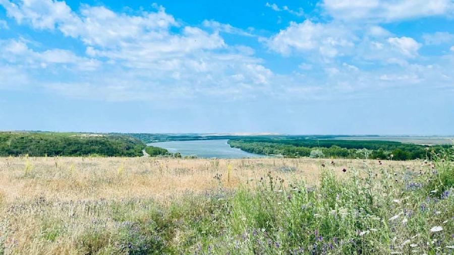 RASOVA Cochirleni Teren extravilan 38 Hectare comasat 100%