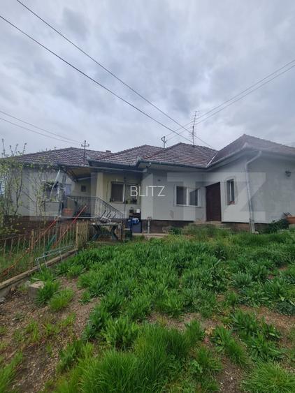 Casa individuala si 5.500 mp de teren intravilan, loc. Sanpaul, Cluj - 2