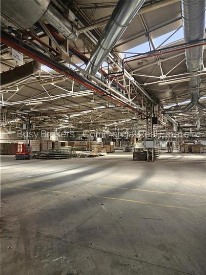 Spatiu Industrial - 5000 mp - Productie - Depozitare - 10