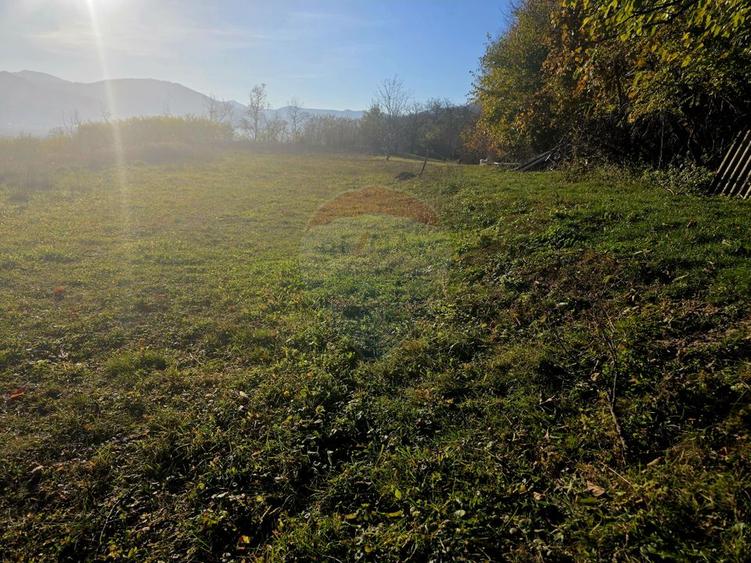 Teren 6,874mp Alexandru cel Bun / Strada plopusor