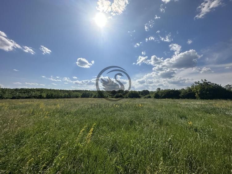 Teren intravilan de vanzare | 11.000 mp | Ghirdoveni | Comision 0%