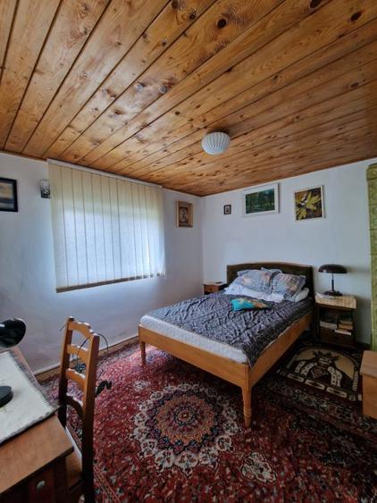 Balilesti - Stradal, casa spatioasa, 4600 mp teren intravilan - curte spatioasa