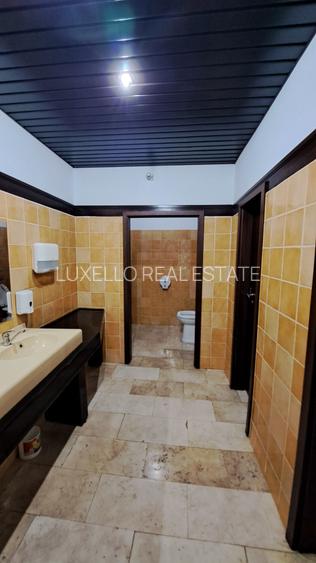 SPATIU BIROU- CLADIRE BIROURI  PREMIUM - 19