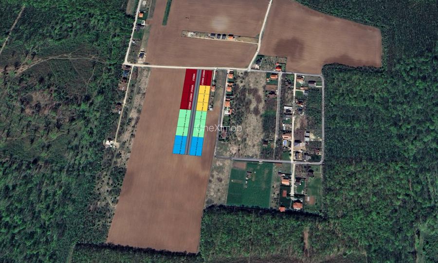 The Forest Collection -500mp-Zona exclusivista | Padurea Snagov -Ciofliceni - 6