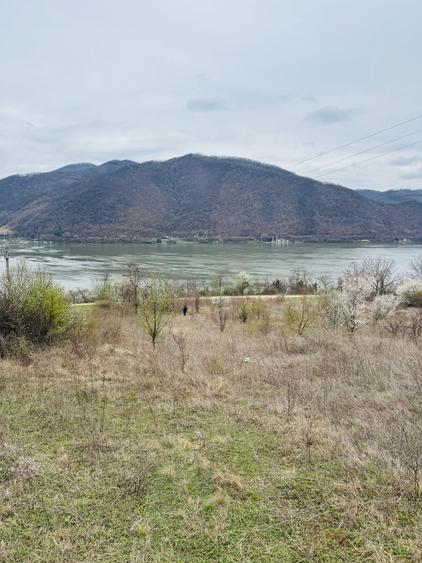 Teren Construcții intravilan de 6042 mp, în Berzasca