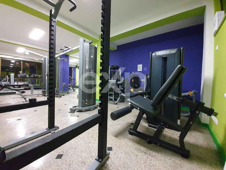 Sala de forta de vanzare in Berceni