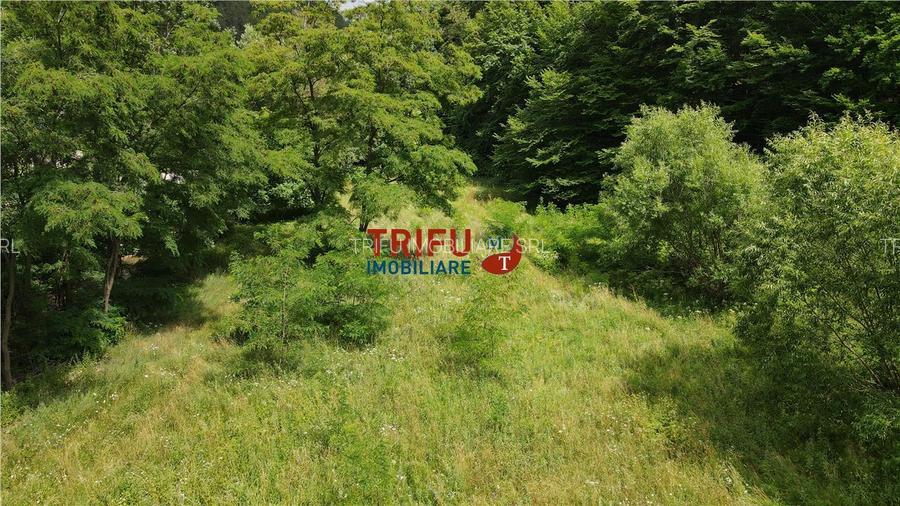 Teren ideal pentru cabană sau pensiune în Poiana Galdei - 18