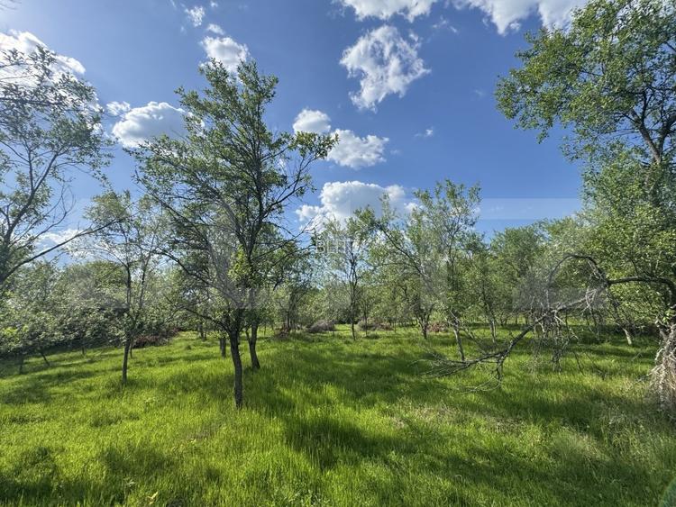 Teren intravilan de vanzare, 15080 mp, zona Tătărăști - 5