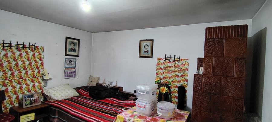 Casa caramida la strada Puskin