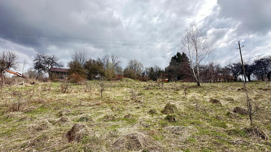 De vanzare teren in Brebu Nou  2877 mp