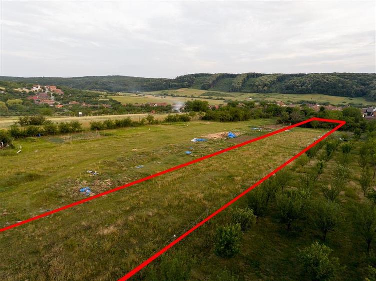 RECO Teren intravilan de vanzare Betfia, Bihor - 3000 mp, front stradal 20 m
