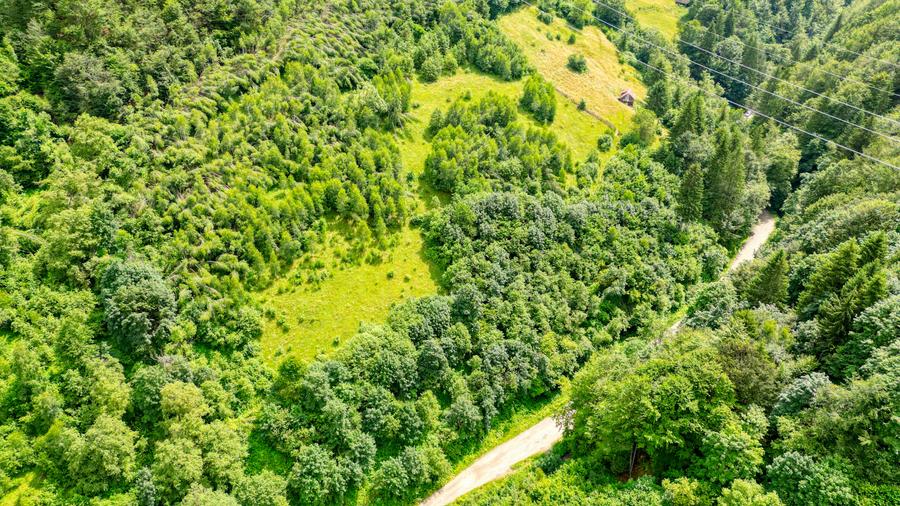 Investitie Smart in Moieciu, 3.1 ha, Panoramă 360 Bucegi - Piatra Craiului
