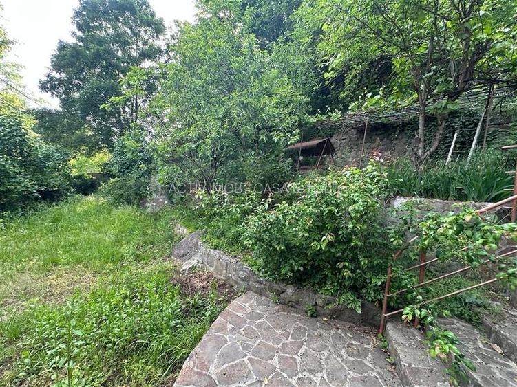 Casa Cocheta de vacanta, Dognecea - 22