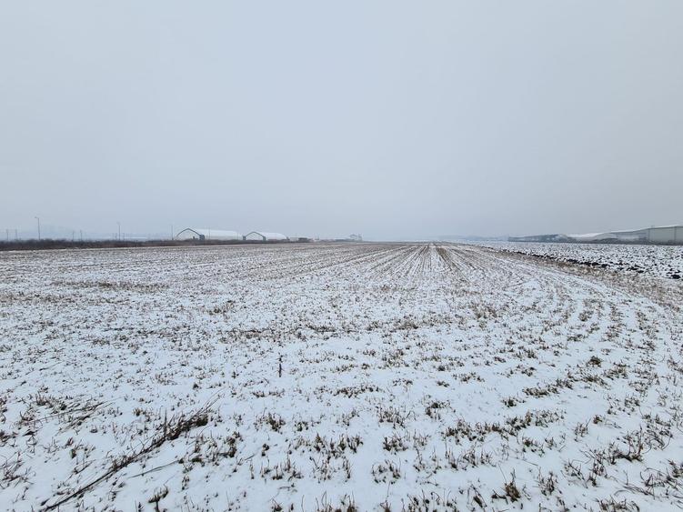 Teren industrial de vanzare in Stupini