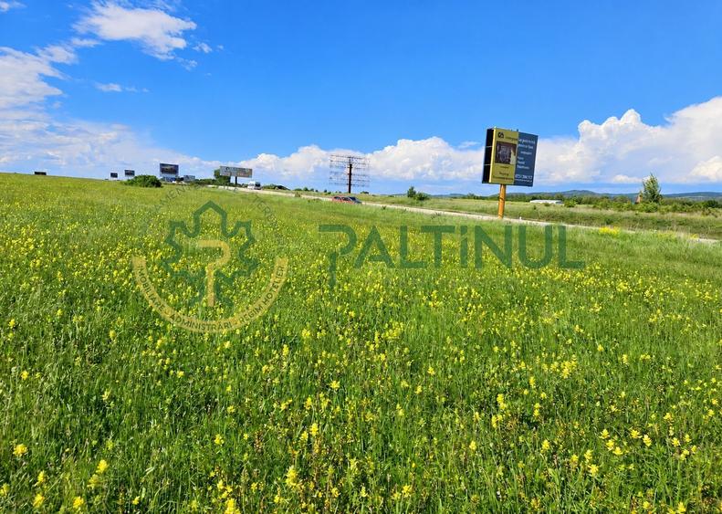 Teren de vanzare, 4.000 MP, Șelimbar, Zona Ion Art, investitie