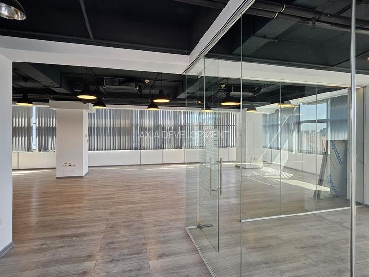 Spatiu Birou Cismigiu - Domus I - 7