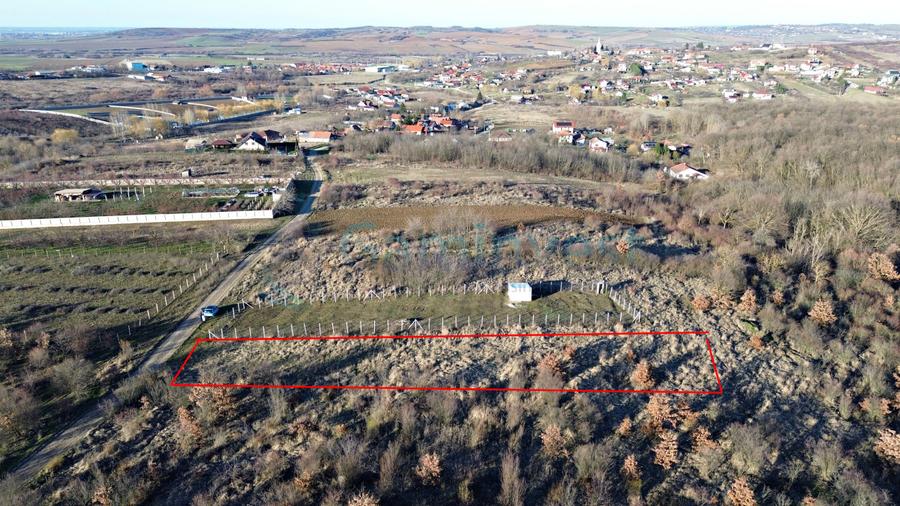 Teren intravilan in apropiere de padure, Paleu, Bihor