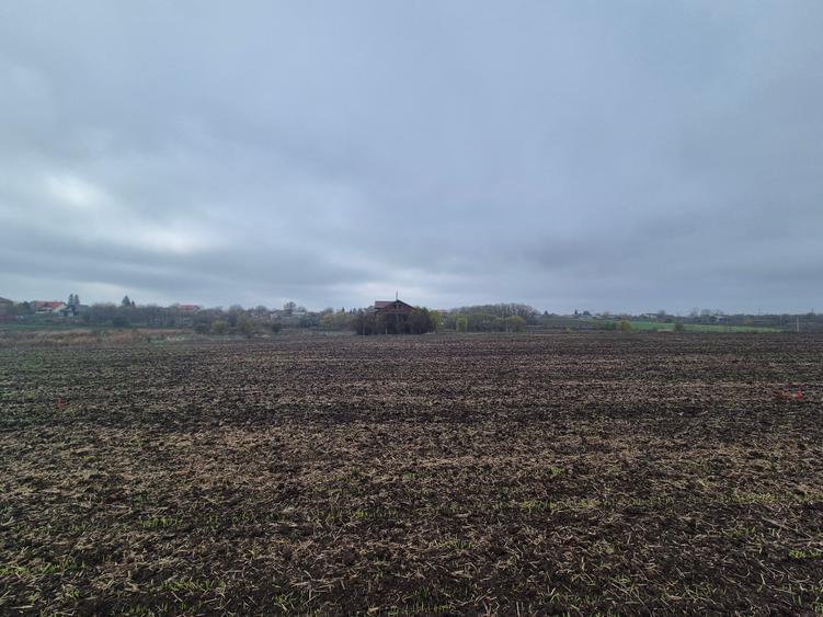 Teren intravilan,Frumusani, sat Pasarea