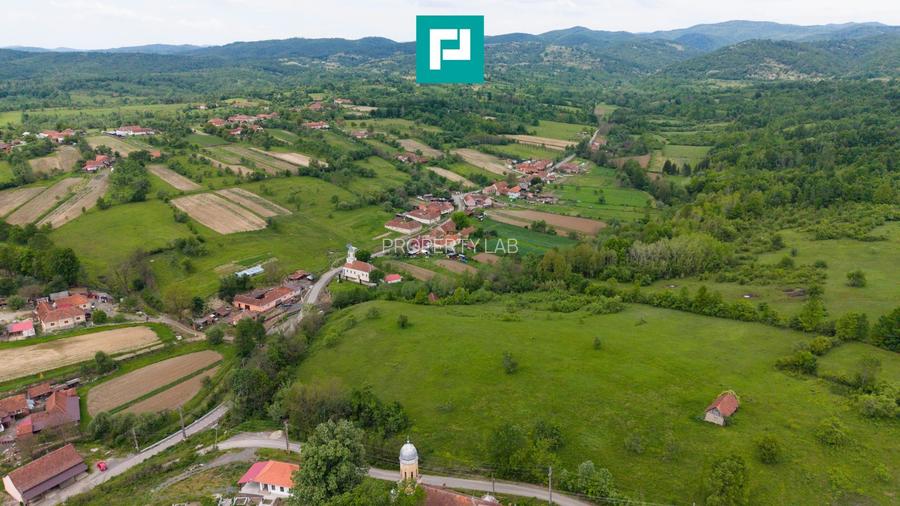 Proprietate de poveste pe Valea Mureșului, Lupești - 6