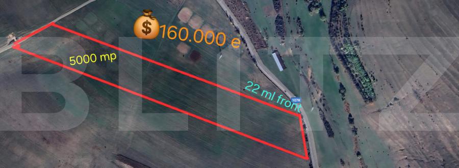 Teren de investitie in localitatea Ciurila