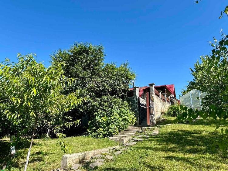 Vila de lux 310 mp construiti, cu piscina 40mp, Bucium Iasi, 1500mp teren, garaj foisor livada - 5
