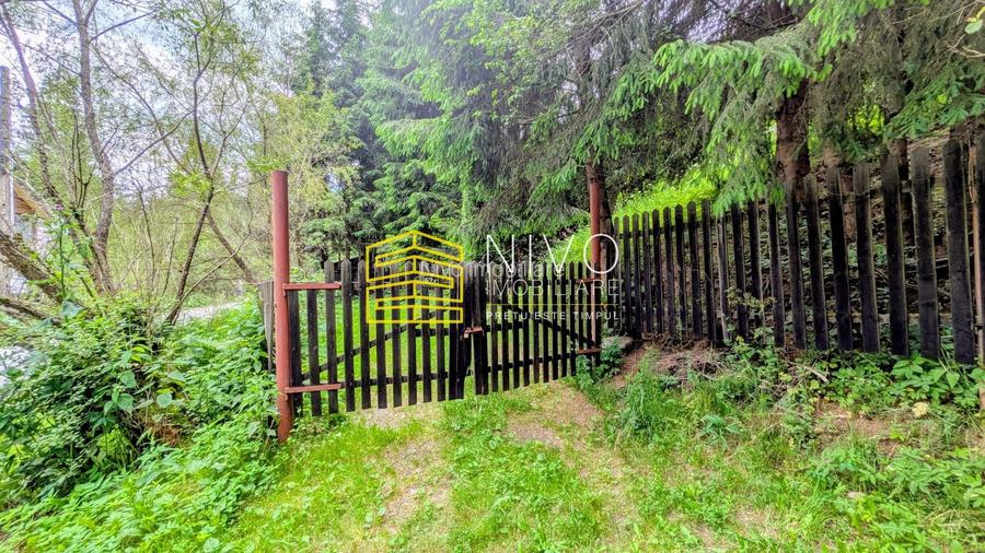 Cabană – Mureș – Sălard – Zona Pensiunea Denisa - 21