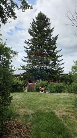 Domeniu rural, gospodarie/multifunctionala cu casa, livada, vie - 53