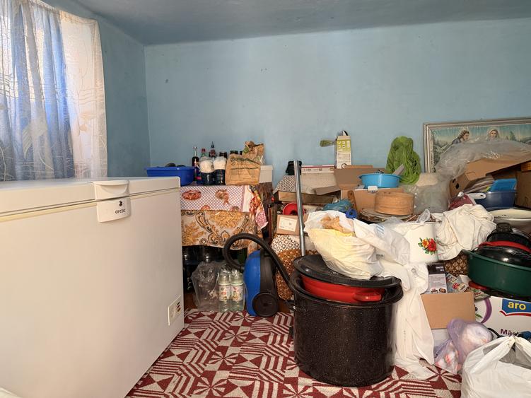 Casa individuala, 200 mp utili, 1005 mp gradina , anexe - Sag